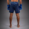 Fightshorts Venum Light 5.0 - Blue/Sky Blue (Size XS)