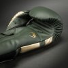 Boxing Gloves Venum Elite - Khaki (Size 10oz)