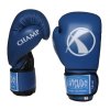 180717 box rukavice katsudo champ iv modre
