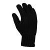 PitBull West Coast Zimní rukavice Logo - černé - PWC_ZRLOGO_BLK (velikosti L)