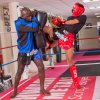 Muay Thai šortky Blitz- červeno/černé - 08-19_RED