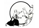 Aikido