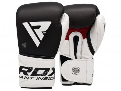 Boxerské rukavice S5 (černá/bílá)