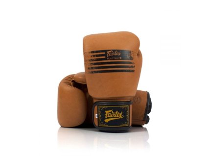 Boxing gloves  Fairtex BGV21- Legasy
