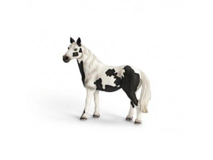 21255 schleich 13696 pinto klisna