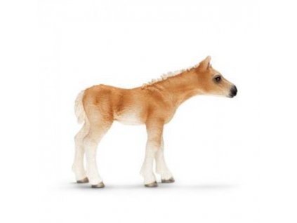 21261 schleich 13699 hribe haflingera