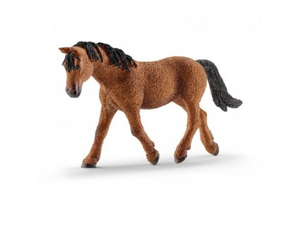 21408 schleich 13780 kobyla baskir curly