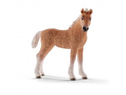 21411 schleich 13781 hribe bashkir curly