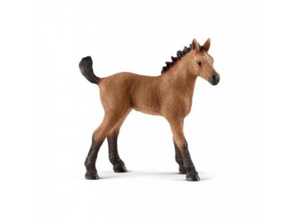 21561 schleich 13854 quarter hribe 2018