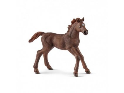 21570 schleich 13857 anglicky plnokrevnik hribe 2018