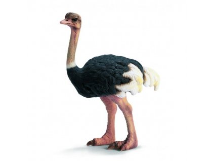 21759 schleich 14325 pstros