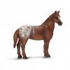 21315 schleich 13731 appaloosa klisna