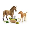 24641 schleich 42432 set hribe a quarter kun se stenatkem a doplnky