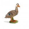 24749 schleich 13653 kachna divoka breznacka