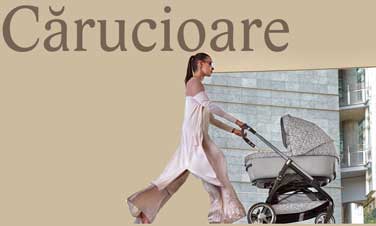 CĂRUCIOARE