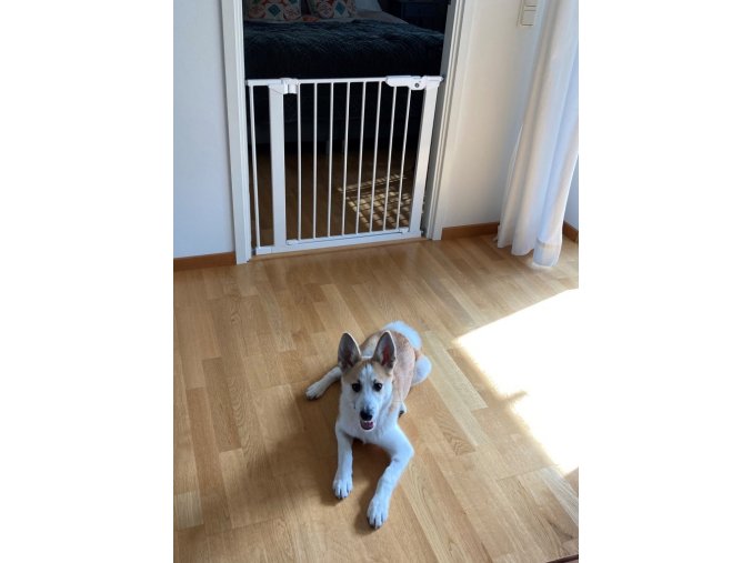 DogSpace Lassie poartă de presiune pentru câini, 73-80 cm albă