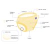 potty training pants diagram cz