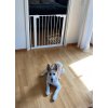 DogSpace Lassie poartă de presiune pentru câini, 73-80 cm albă