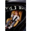 Scaun auto pentru copii Avova Swan-fix I-SIZE 2024 Gold Jungle 40-125cm