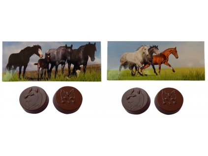 Small chocolate 17g in a box - Horses