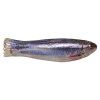 Sardinky 004