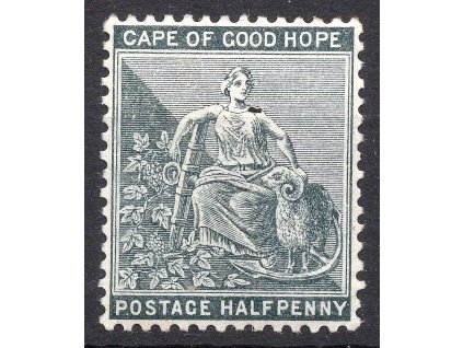 temp img20251111 20121170a front 07