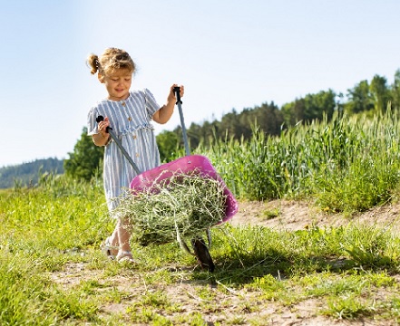 mobil rolly kolečka