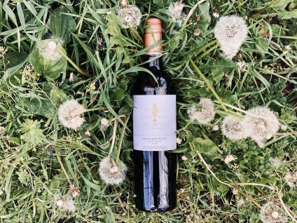 FILIBERK SAUVIGNON HOLY KOPEC 2020