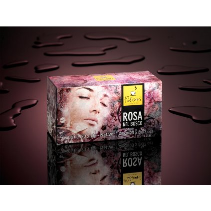 ay6 rosa nel bosco copia