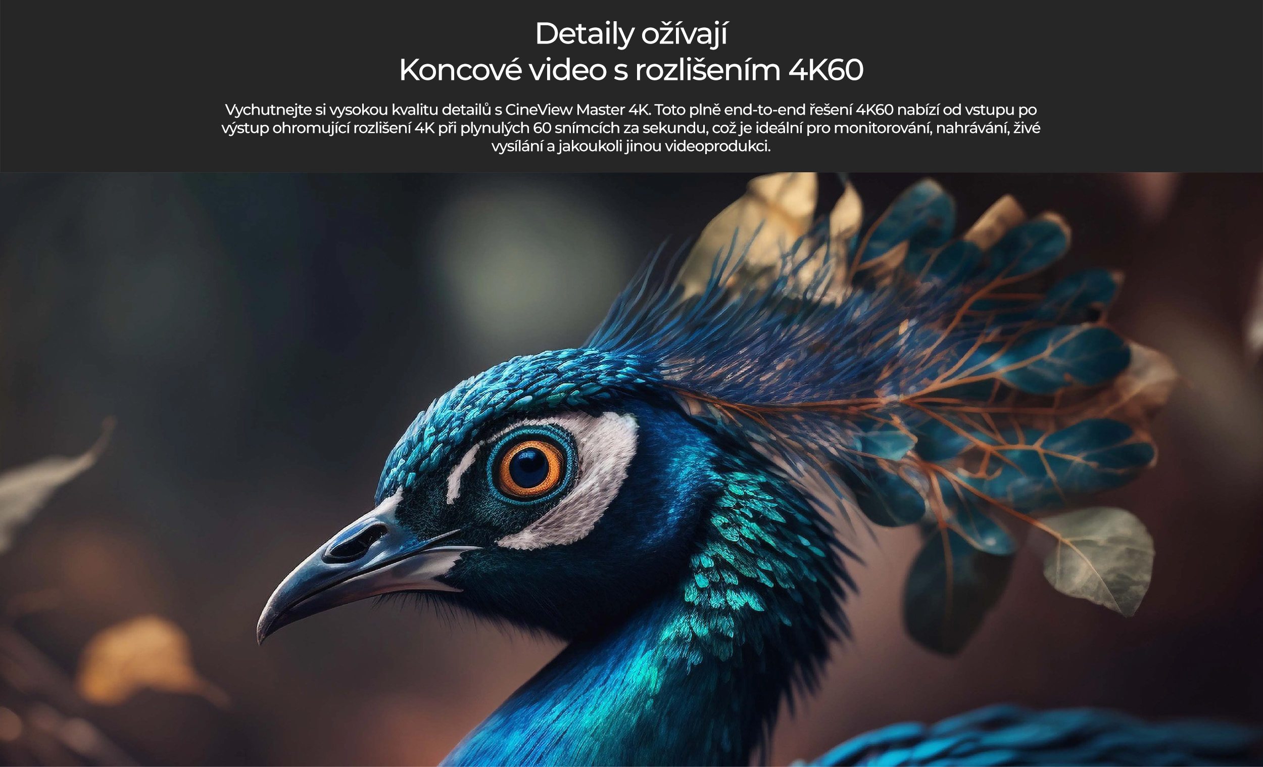 accsoon-cineview-master-4k-pp-4