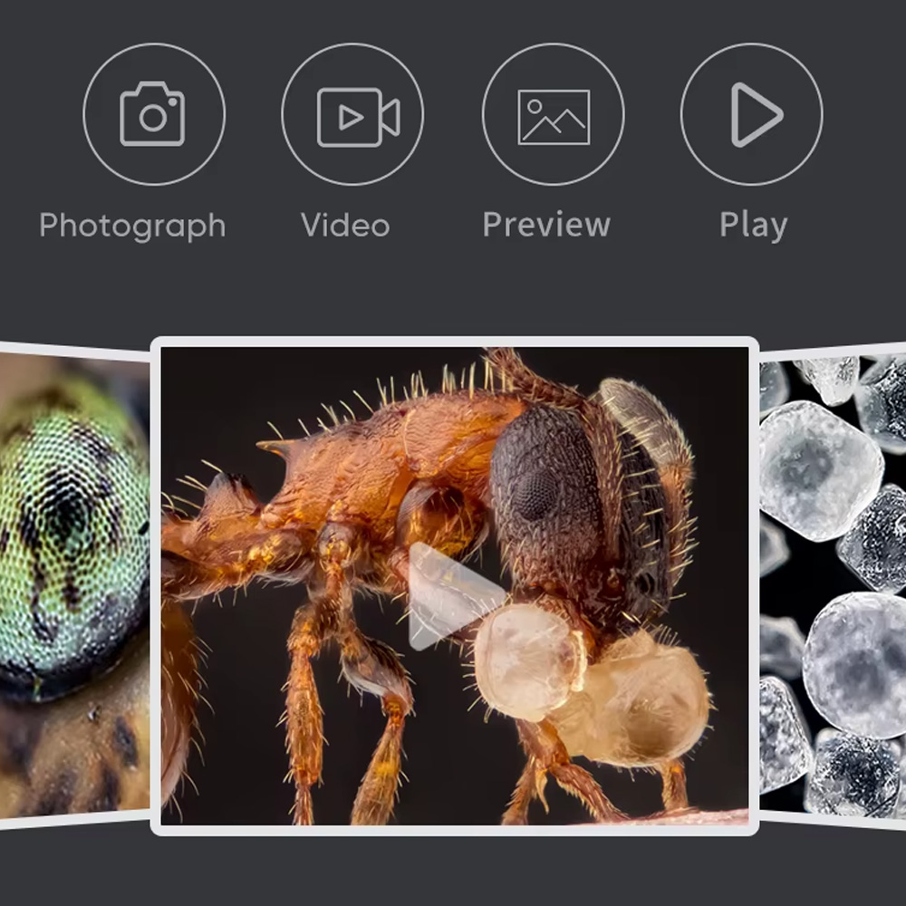 apexel-400x-800x-mikroskop-lcd-pp-5