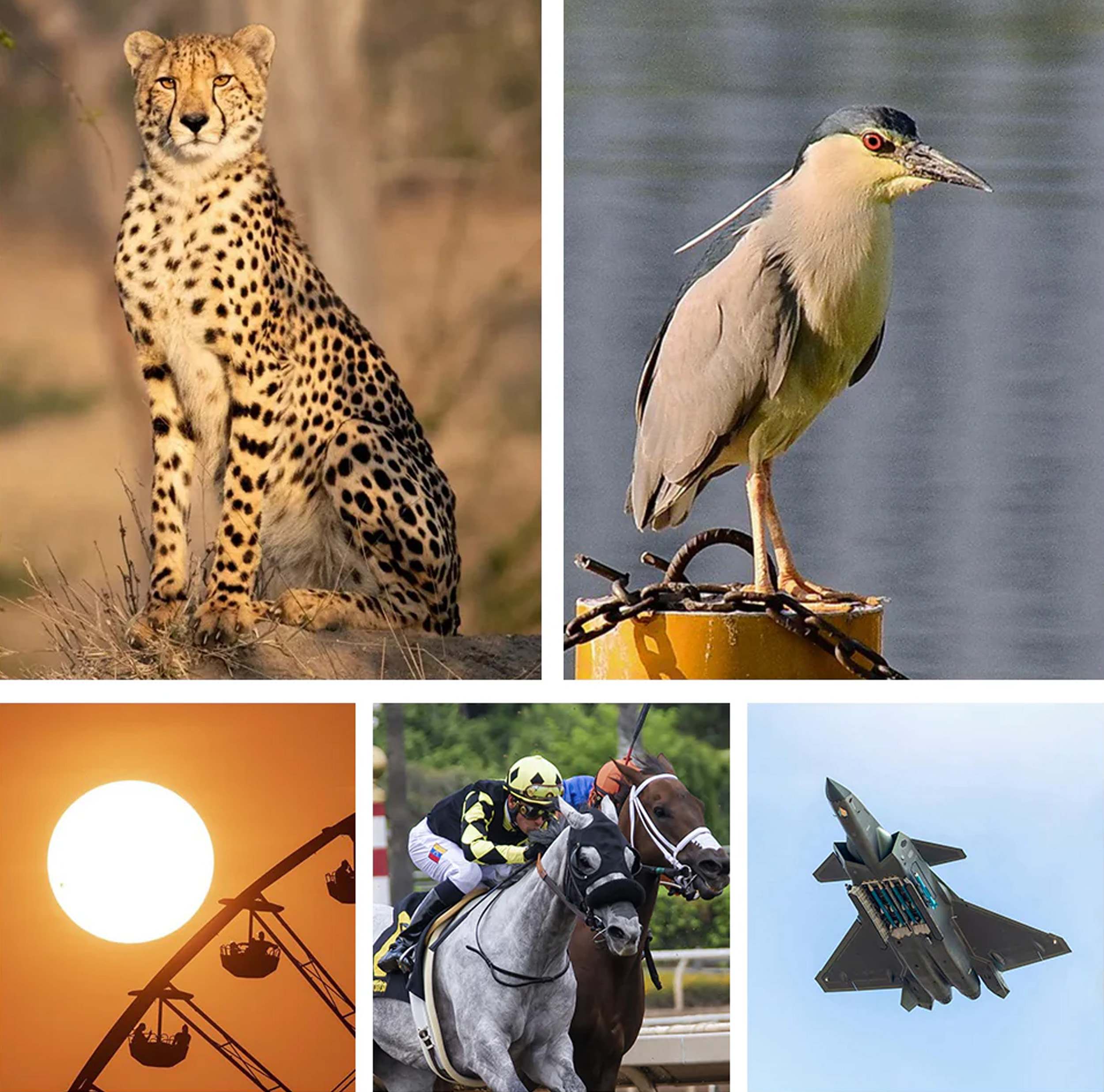 apexel-telecular-pp-6