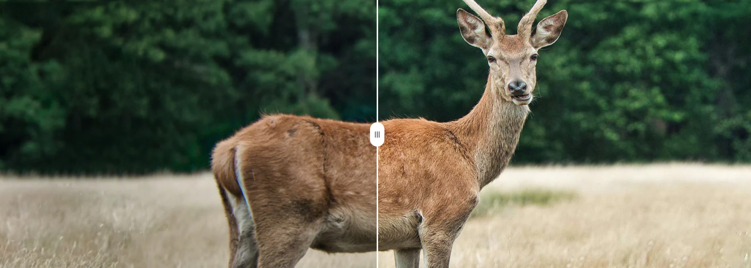 apexel-telecular-50x-pp-1