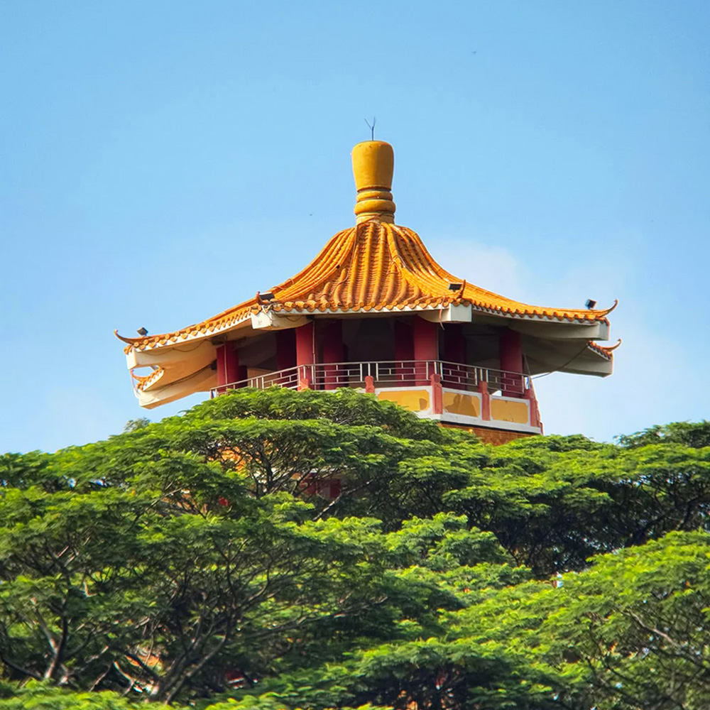 apexel-telemacro-pro-10x-2v1-pp-10