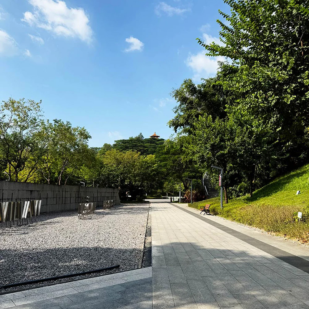 apexel-telemacro-pro-10x-2v1-pp-8