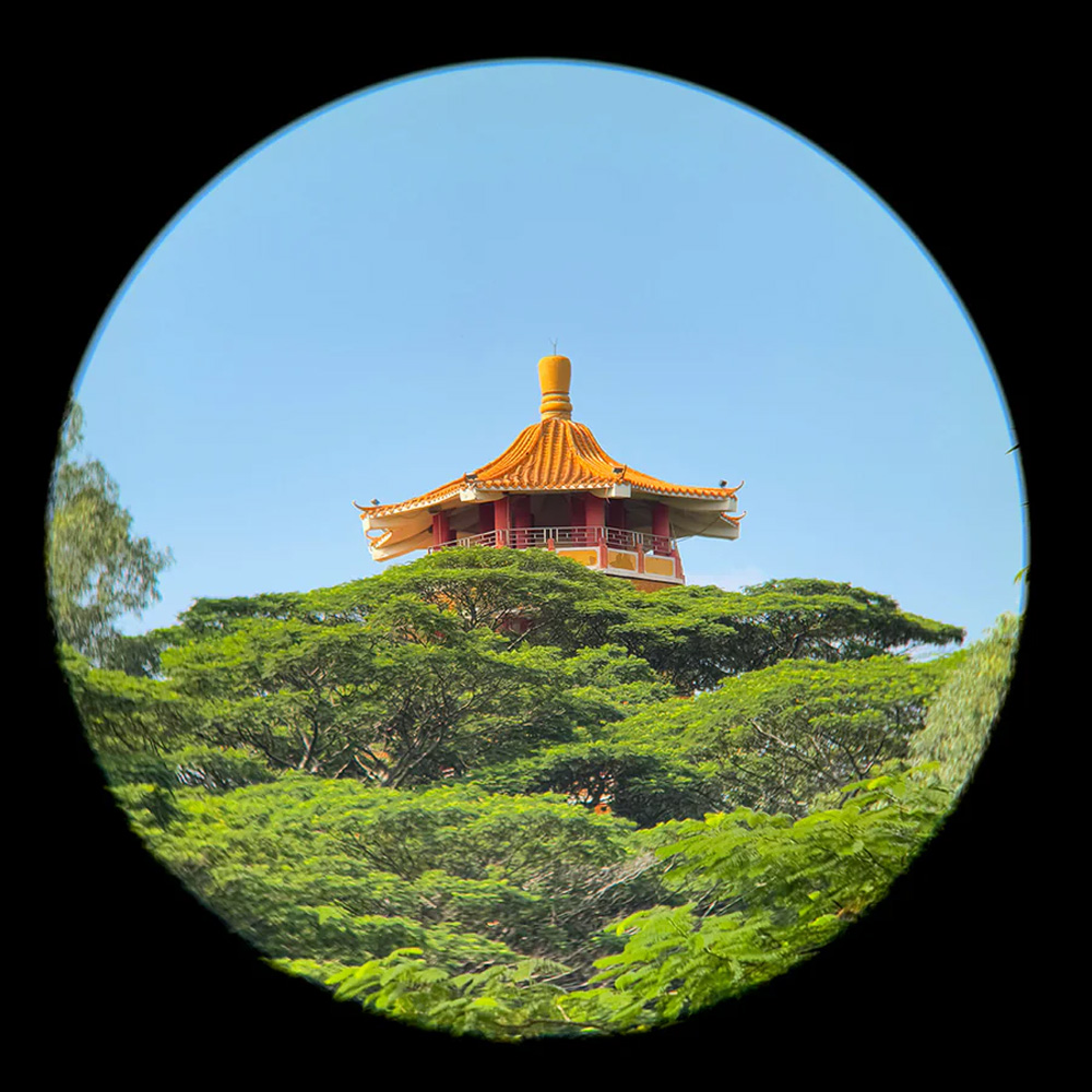 apexel-telemacro-pro-10x-2v1-pp-9