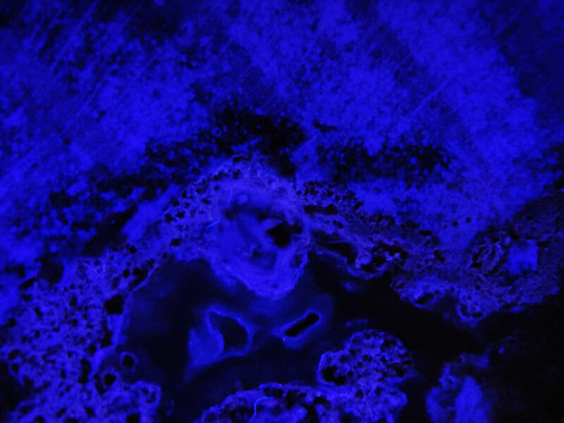 UV světlo