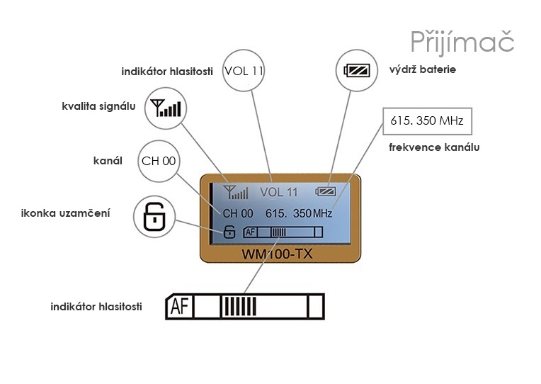 ft-commlite-cvm-wm100-04-intetxt2