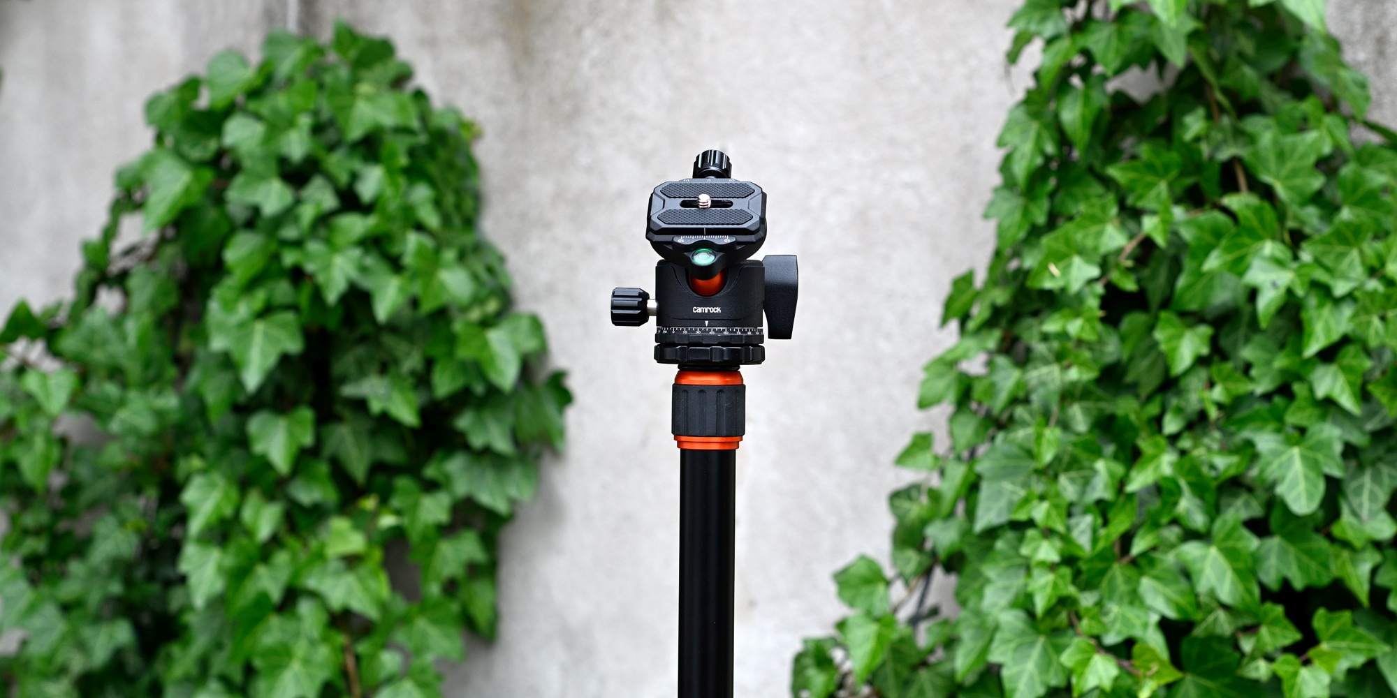camrock-t42-lq-2