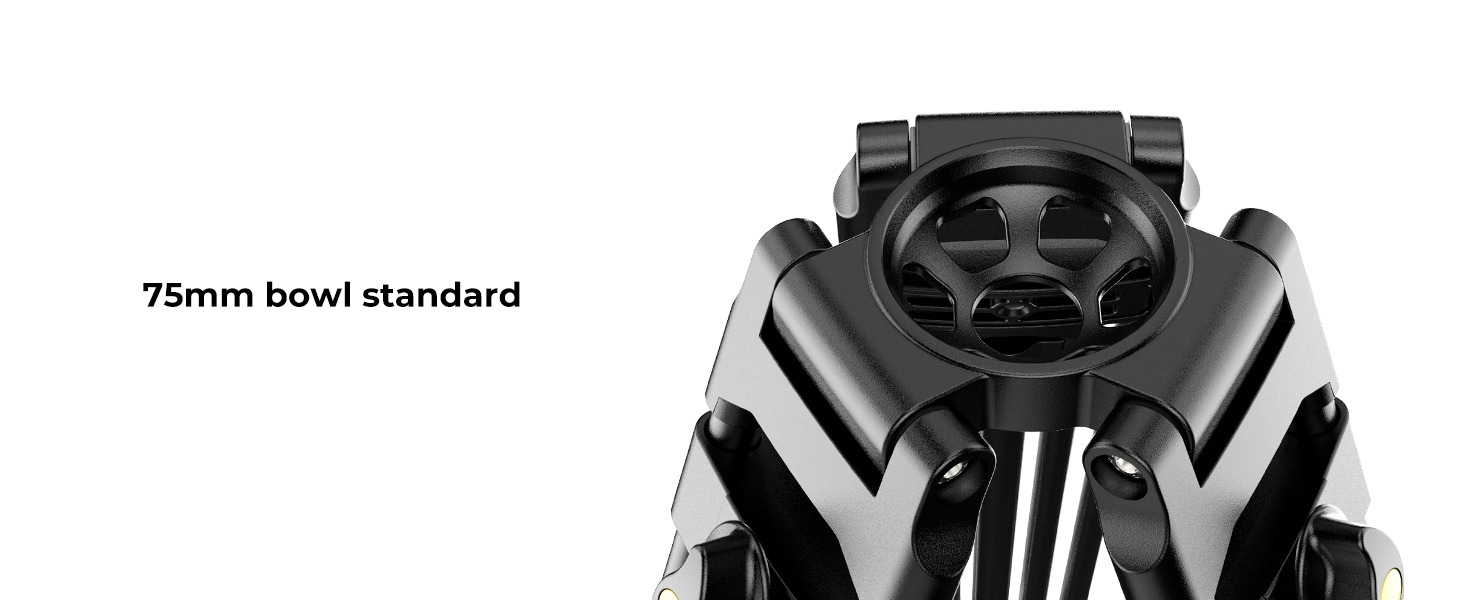 kf-concept-tripod-lq-5