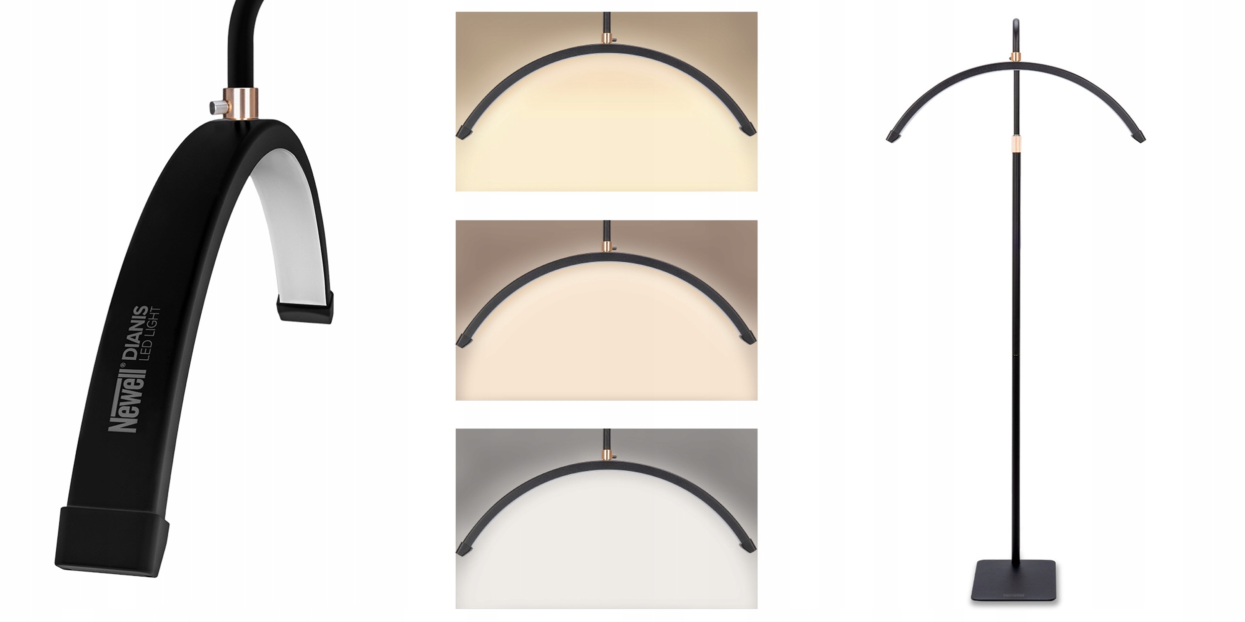 newell-dianis-cerna-pp-4