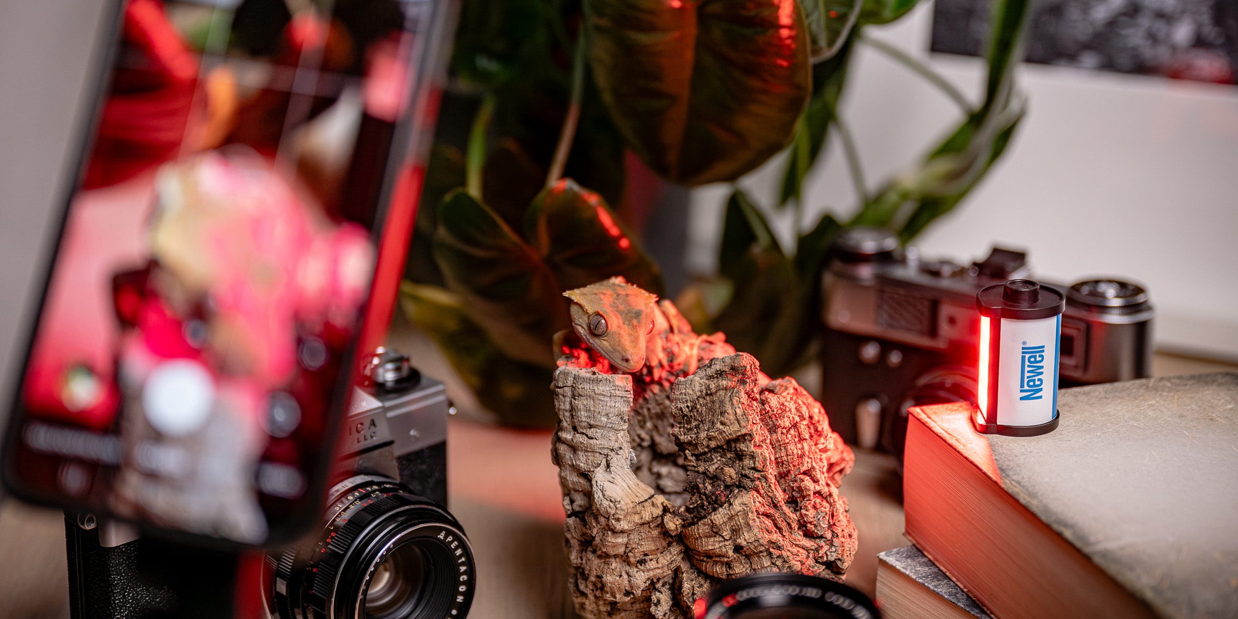 newell-rgb-minireels-pp-2