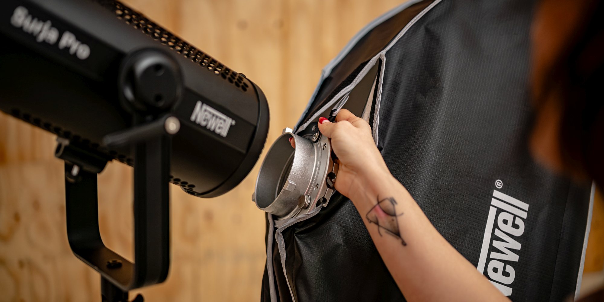 softbox-newell-lq-4