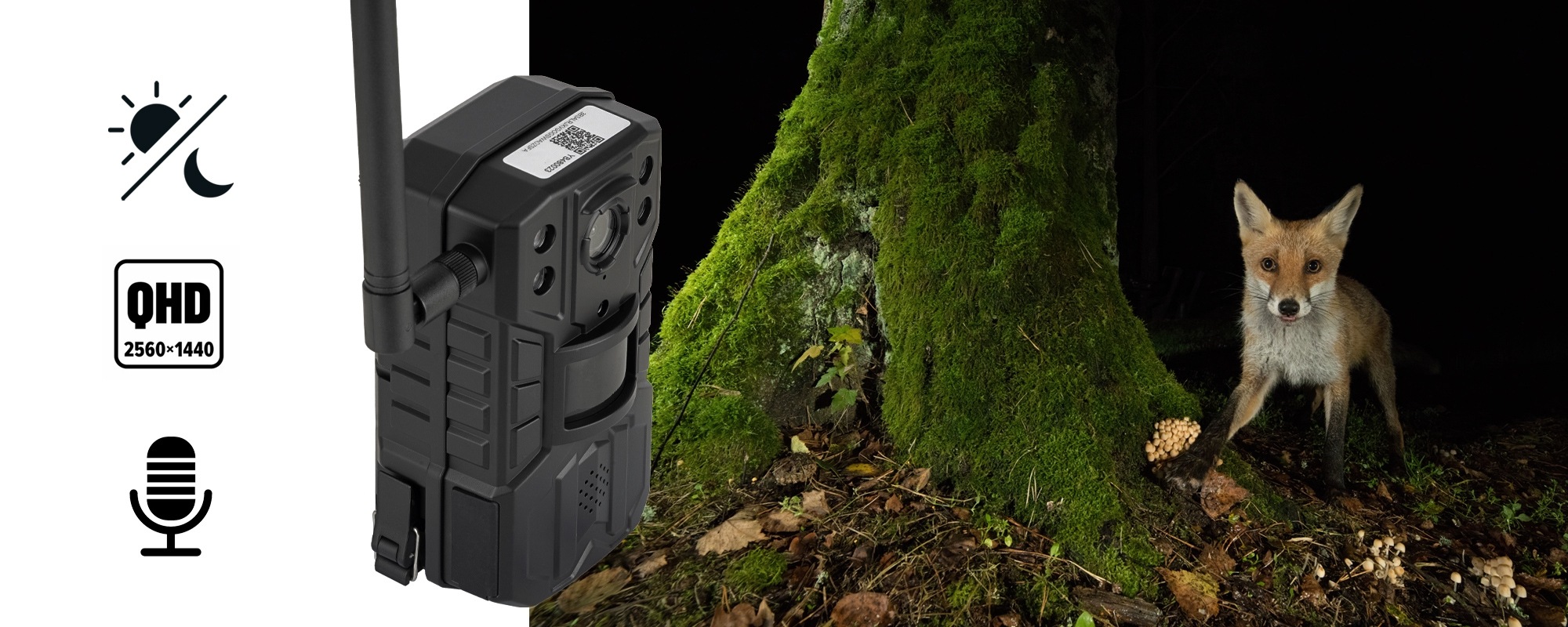 redleaf-rd6300-lt-1-lq
