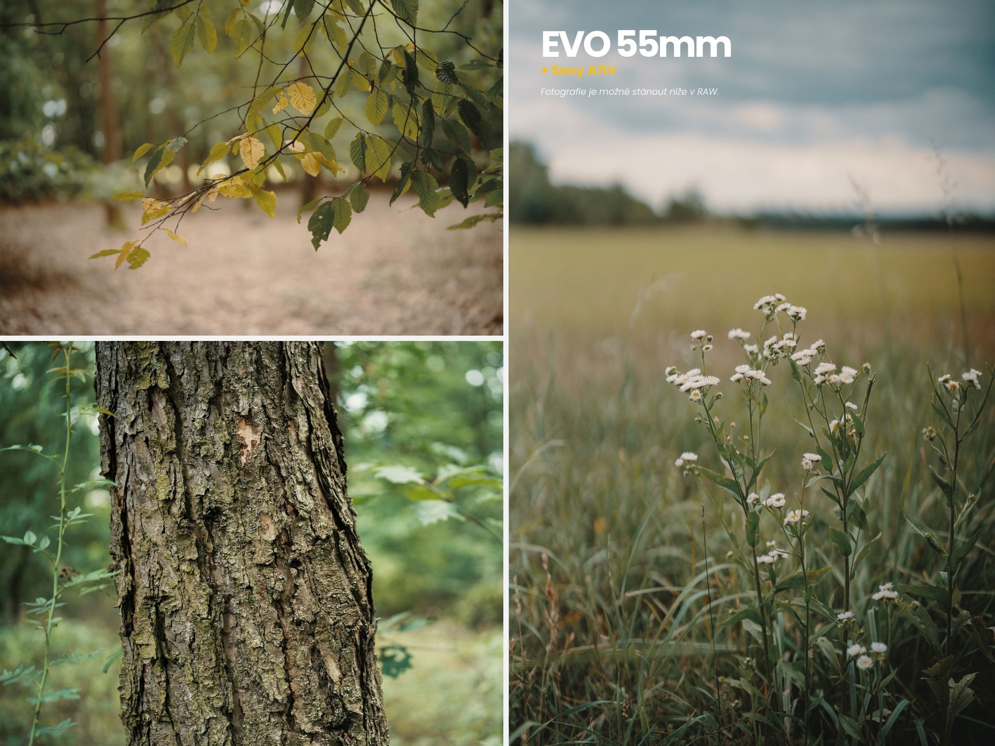 evo-objektiv-55mm