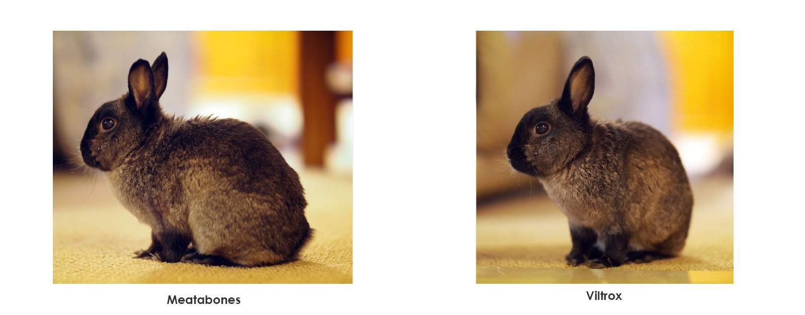 film-technika-viltrox-ef-m2-02-intext