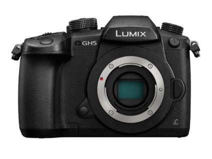 Panasonic Lumix DC-GH5 + Leica 12-60 mm DG f/2.8-4