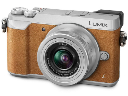 gx80 brown