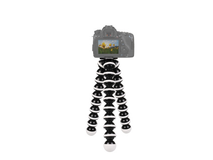 HTB1ByvkdWWs3KVjSZFxq6yWUXXaRf