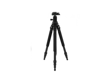 1000x800,nw,foxfoto,1